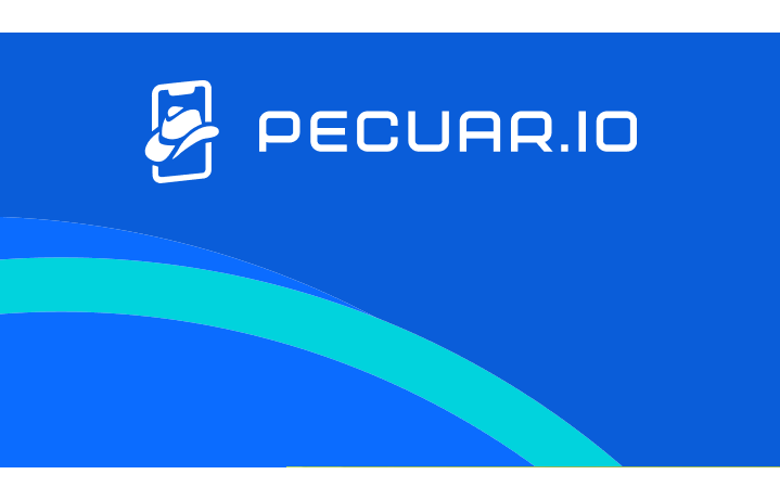 Work Description